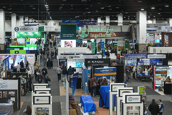 DSC05942